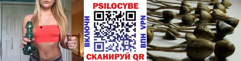 Псилоцибиновые грибы Psilocybine cubensis  дарнет шоп  Кимры 